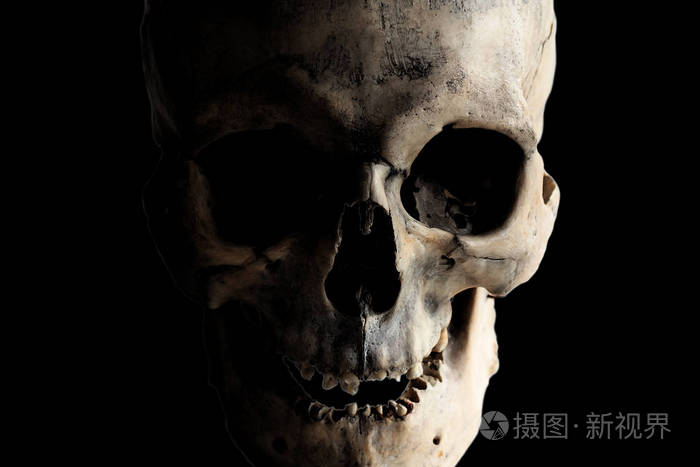 一个真实的人类头骨在黑暗背景下的对比图像.伊索拉