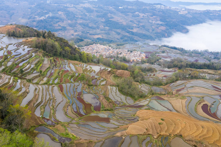 早晨梯田景观与村庄图片