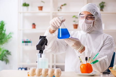 科学家在实验室研究转基因水果和蔬菜照片