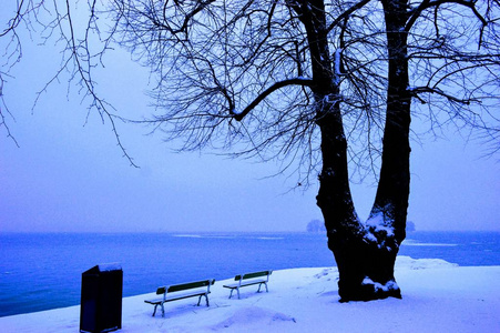 两张长椅在雪岛附近树傍晚墙纸图片