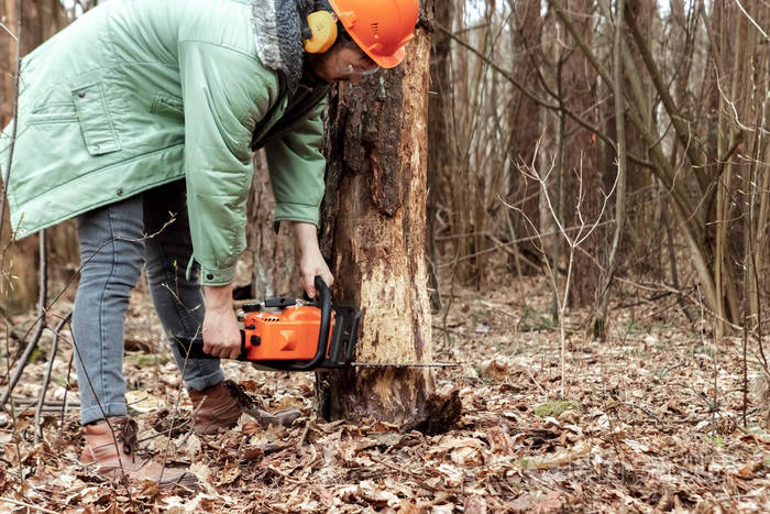 伐木工人穿着防护服,用电锯锯锯木头.砍伐树木,毁坏森林.