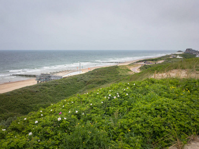 荷兰多姆堡海滩海景图片