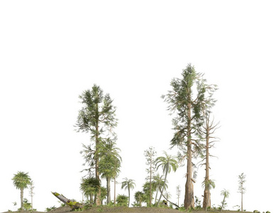 中生代森林孤立的白色背景三维插图照片