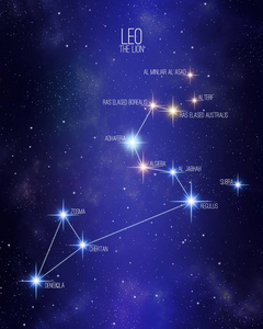 主要类型有草甸狮子座狮子座在星空背景上的星座图,上面有它的主要