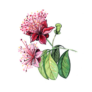 漫画荷花手绘 漫画荷花手绘素材图片 漫画荷花手绘图片素材下载 摄图新视界xsj 699pic Com 漫画荷花手绘 漫画荷花手绘素材图片 漫画荷花手绘图片素材下载 摄图新视界xsj 699pic Com