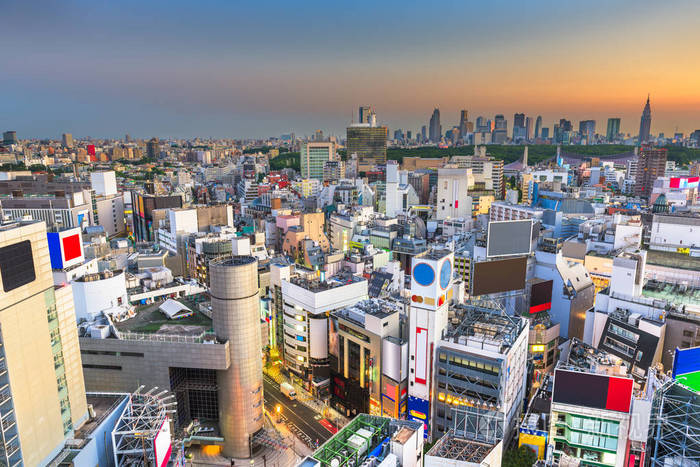 东京日本城市天际线涩谷区和新宿华