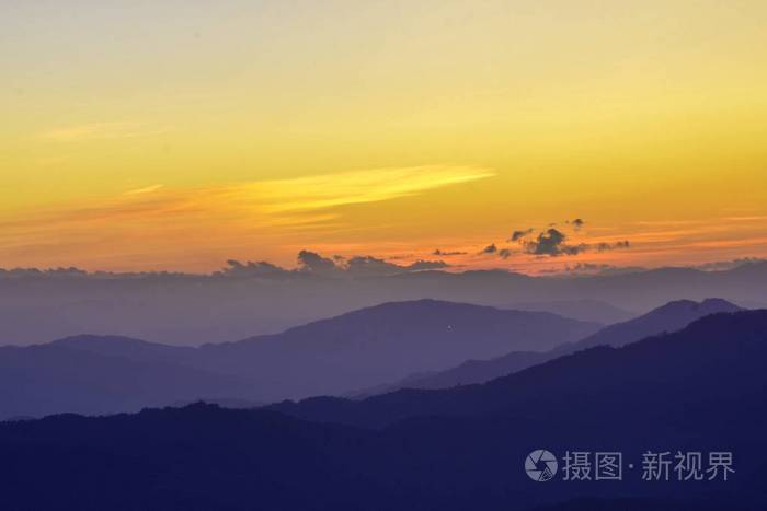 棕榈 全景图 阳光 黎明 自然 春天 日落 早晨 森林 边境