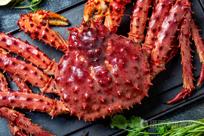 灰色背景的红色帝王蟹帝王蟹柠檬和香菜顶视图