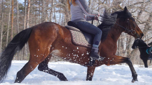 在雪地上骑马的妇女照片