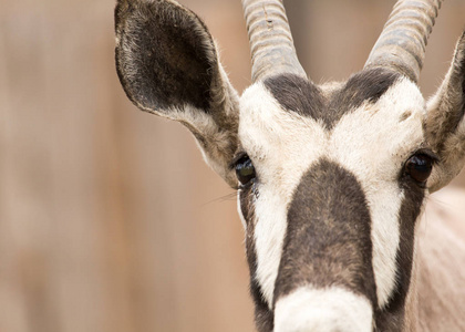 罗格斯科学院图片