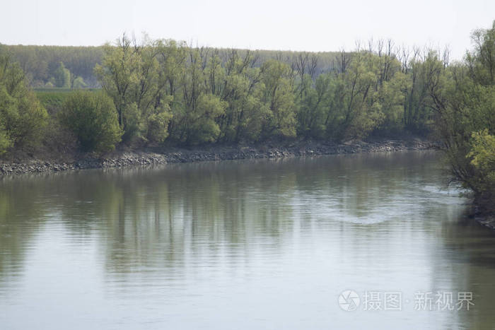 环境 意大利语 风景 意大利 伍兹 日落 野生动物 生态学