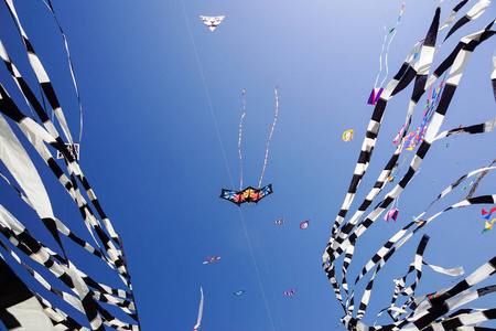 潍坊国际风筝节图片