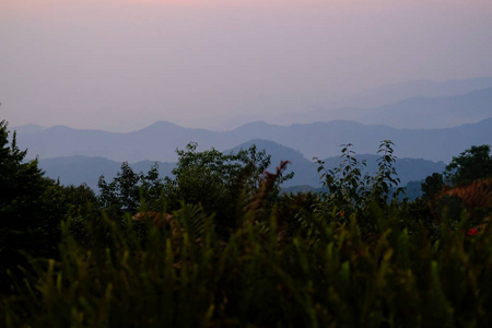 黄昏森林山景图片