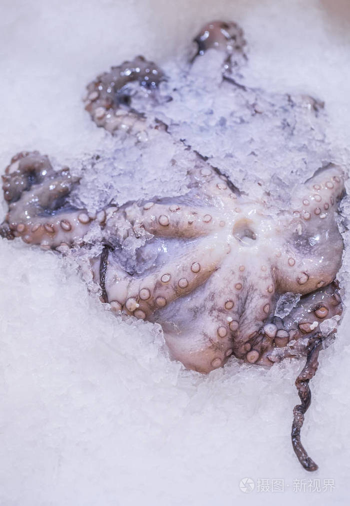 一只章鱼的特写镜头展示在一家超市的冰上新鲜的鱼健康饮食的概念