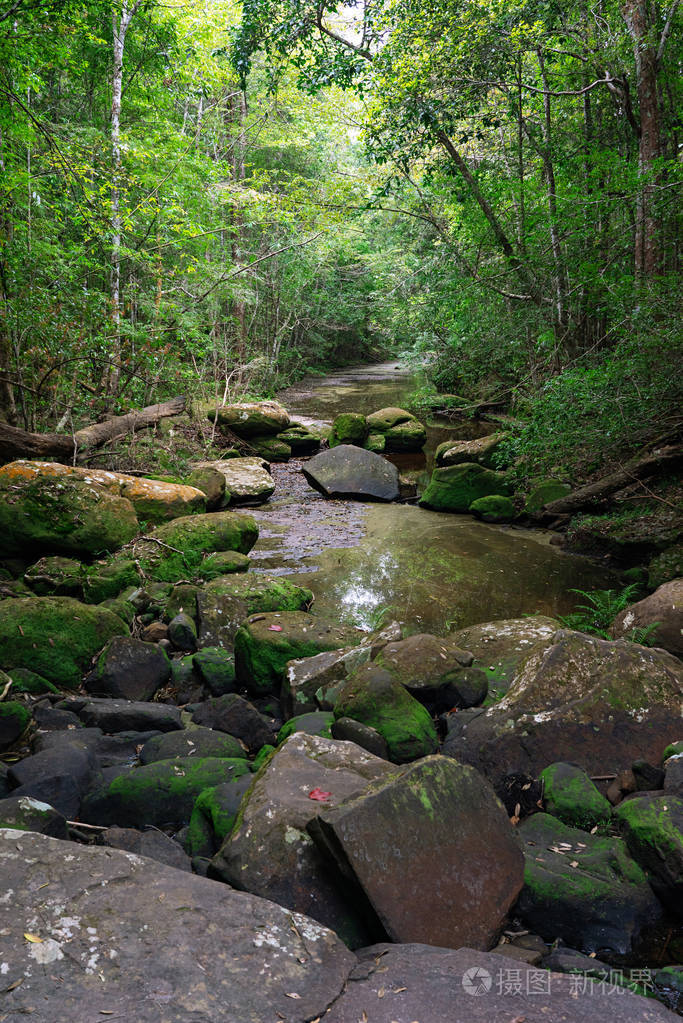 石头覆盖着青苔的小溪