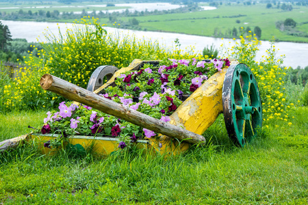 漂亮的花坛素材图片 漂亮的花坛图片素材下载 摄图新视界