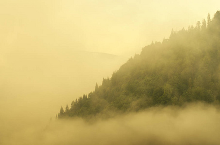 雾山晨景图片