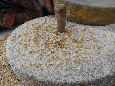 压碎的小麦在印度家里用磨盘磨牛豌豆照片