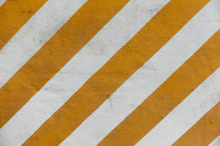 黄白相间的花图片大全