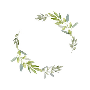 橄榄枝花环图片