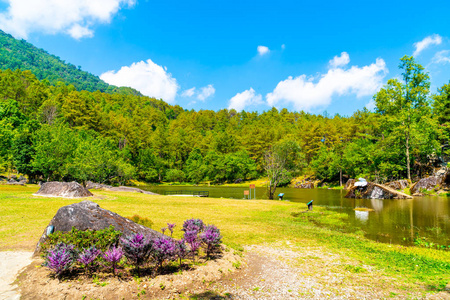 泰国清迈美丽的山上花园公园图片