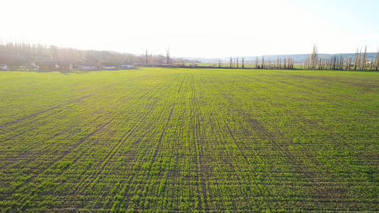 射击.鸟瞰美丽的绿色农田和一条在明亮的天空背景下树木和山脉的道路.