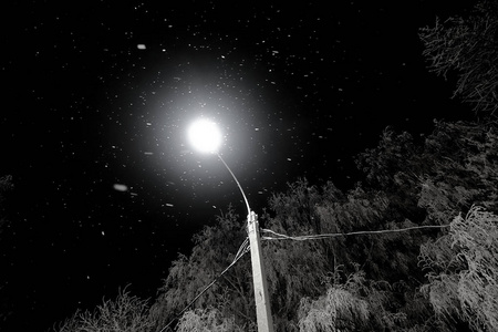 下雪夜景路灯图片