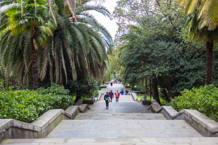 俄罗斯,索契,境内城市公园,树木园.照片