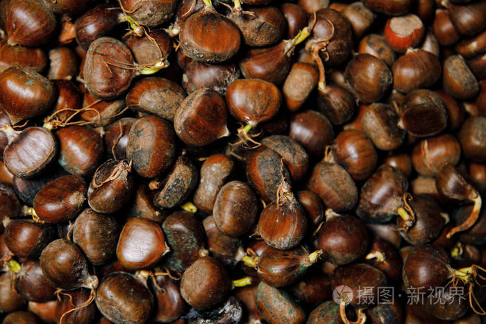 带壳的深褐色栗子