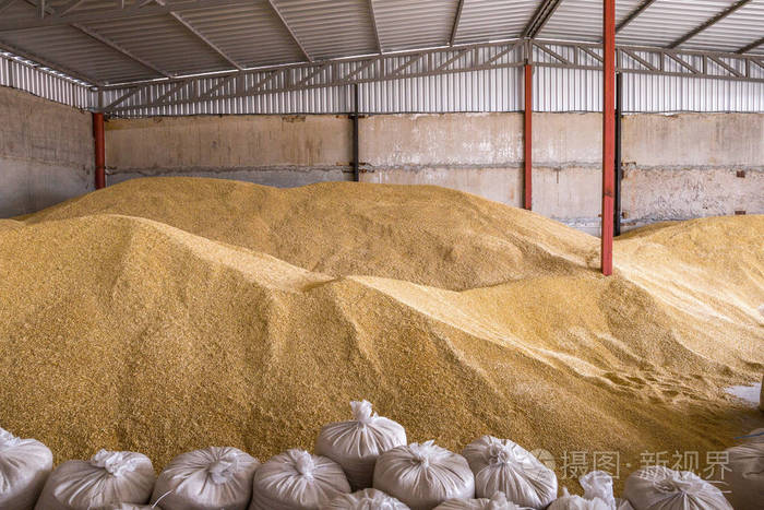 一堆堆小麦和麻袋,存放在谷物仓库或谷物上照片-正版商用图片2ig6h6-