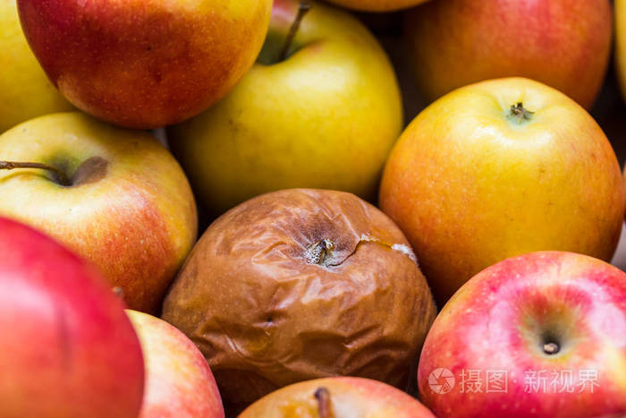 其他新鲜苹果中的一个烂苹果