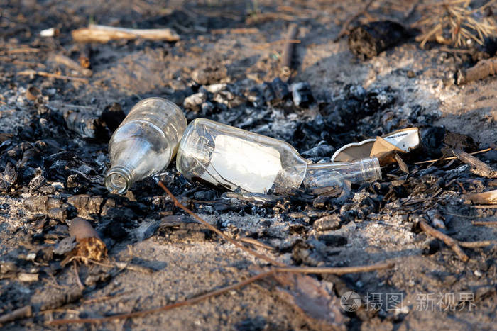 营火场附近森林公园里的一堆垃圾.环境污染