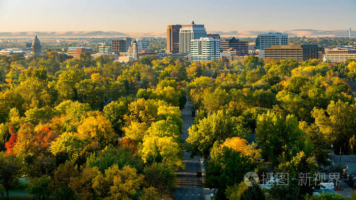 城市的树木在一年中的秋天与天际线