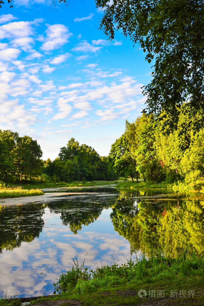 美丽的湖景一大早夏天俄罗斯莫斯科地区