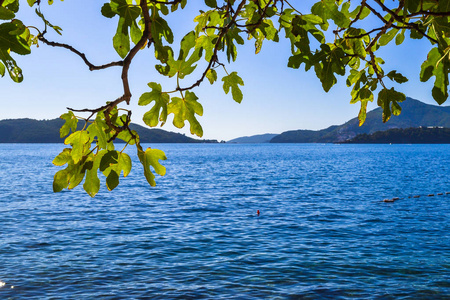 保护碧水蓝天图片