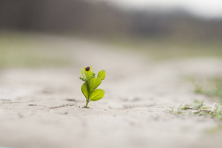 团结就是力量图片