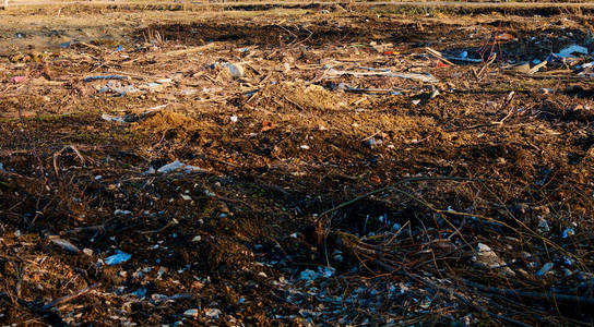 水中的碎片破坏了动物的生态图片