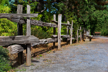古老的乡村木篱笆的一部分,在一个国家或自然概念的背景下用树木隔开