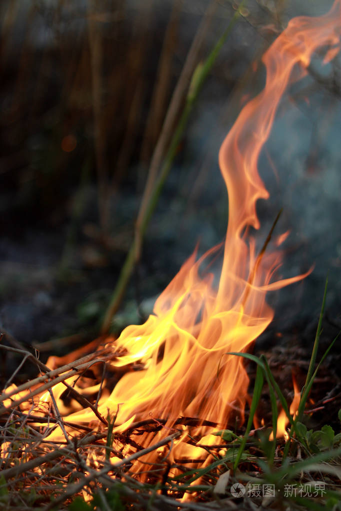 特写着火了.在城市公园里烧干草