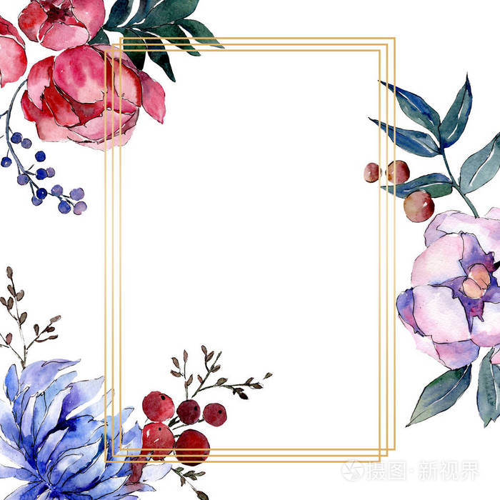 花束植物花 水彩背景插图集 框边装饰广场 照片 正版商用图片2im1ms 摄图新视界