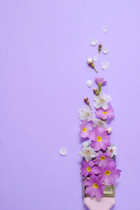 粉彩紫色背景上有樱花和紫花的画笔.最小自然构图空间.