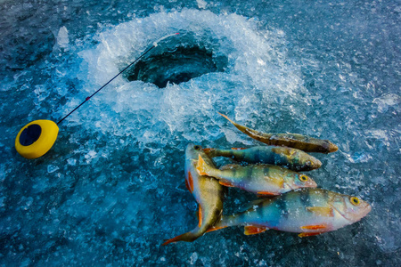 冰钓图片大全