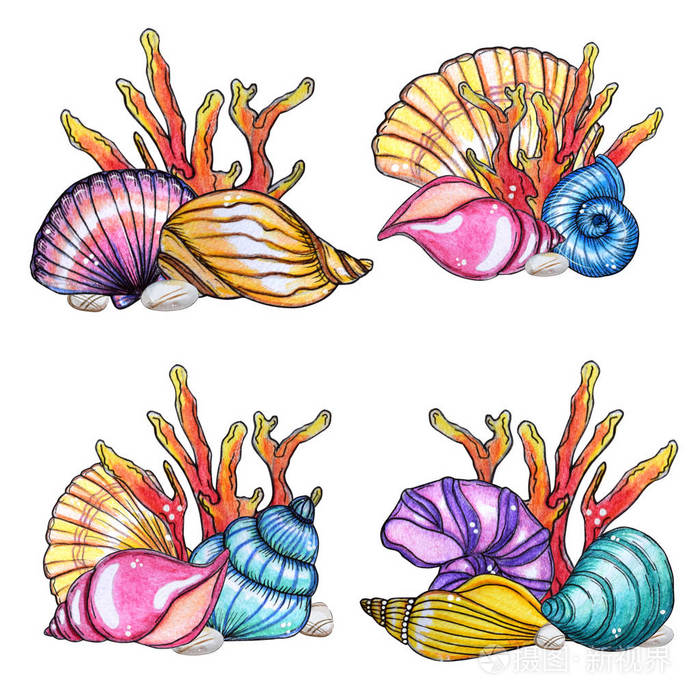贝壳和珊瑚的手绘水彩套装