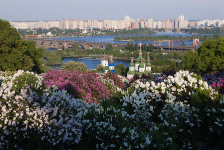 乌克兰基辅植物园图片