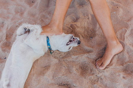 太阳床上海滩图片