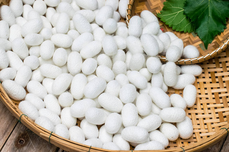 白丝软妹子图片