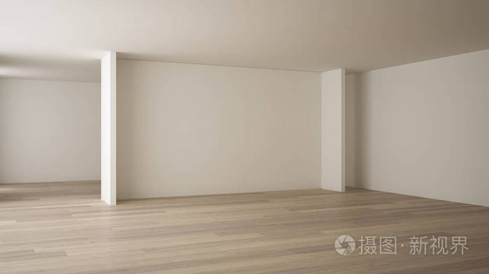 Empty room interior design, open space with white walls, modern 
