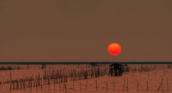 夏天美丽的大太阳.夕阳西下的天空,傍晚的渔夫小屋和红树林.海岸竹竿.