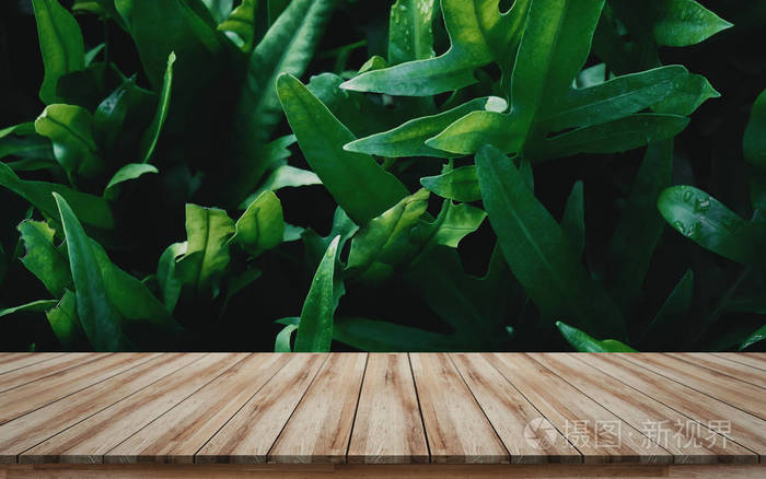 木制桌面用于实物模型或蒙太奇产品展示背景为绿叶