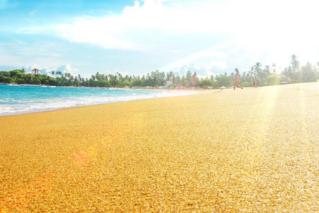 海洋和金色的沙滩图片